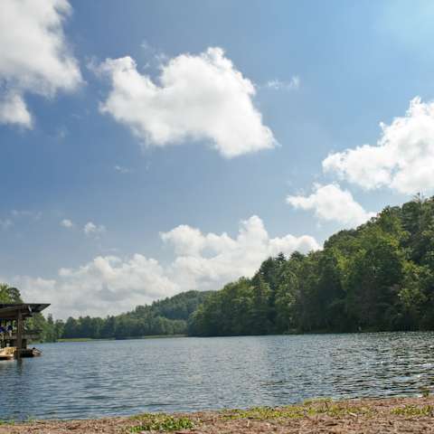 Vogel State Park Campground, Vogel, GA: 4 Hipcamper Reviews And 9 Photos