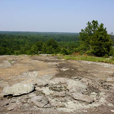 Panola Mountain State Park Campground, Panola Mountain, GA: 1 Hipcamper ...