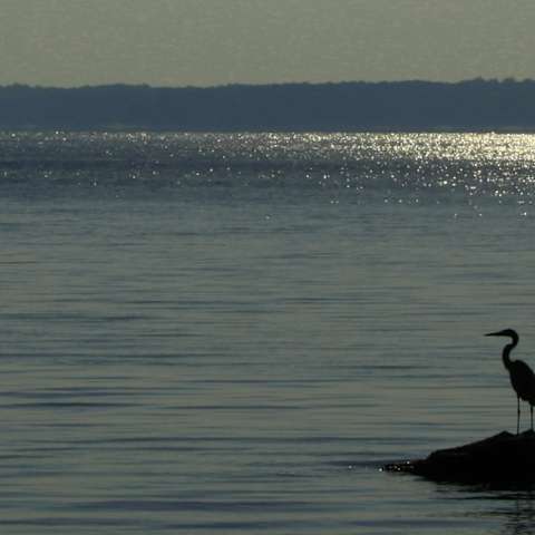 Beach Point Campground, Sardis, MS: