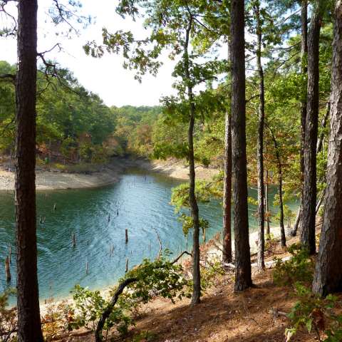 Escape to Serenity: Your Guide to Arkansas' Lake Sylvia Campground