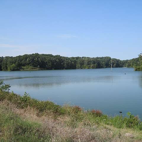 Village Creek Campground, Village Creek, Ar: 1 Photo