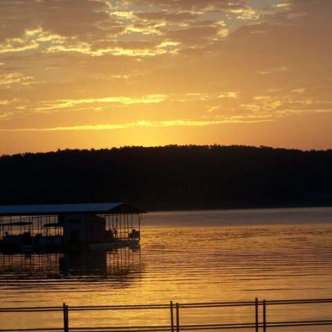 Panther Bay: Where Arkansas’s Wilderness Meets Family Fun