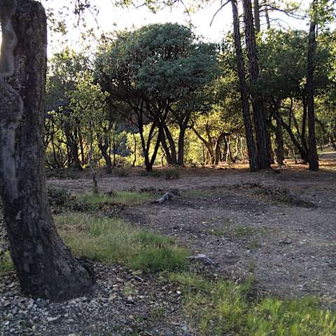 Escape to Figueroa: Your Southern California Campground Adventure