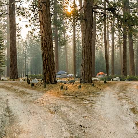 Escape To Serenity: Your Guide To Mono Creek Campground, Northern California