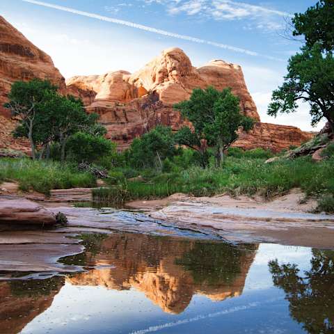 Goose Island Campground Map Goose Island Campground, Moab, Ut: 6 Hipcamper Reviews And 15 Photos