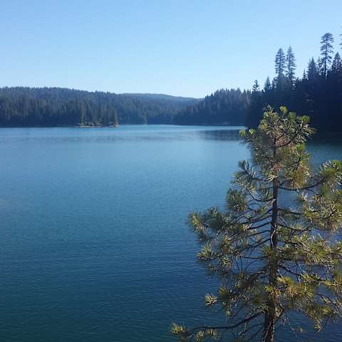 Sly Creek Campground: Your Northern California Escape