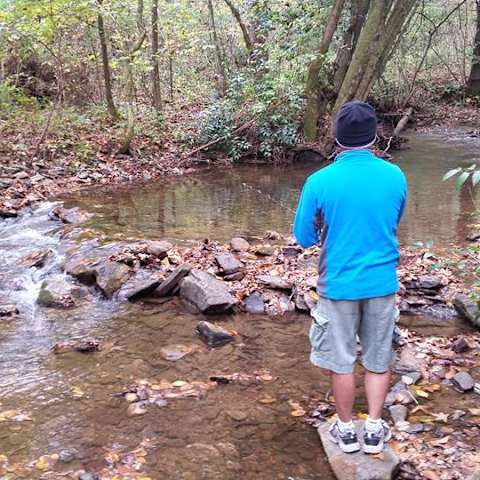 Escape to Nature's Embrace: A Guide to Upper Chattahoochee River Campground