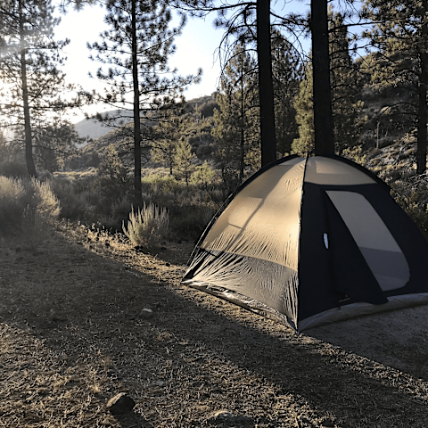 Escape To Sulphur Springs: Your Northern California Campground Adventure