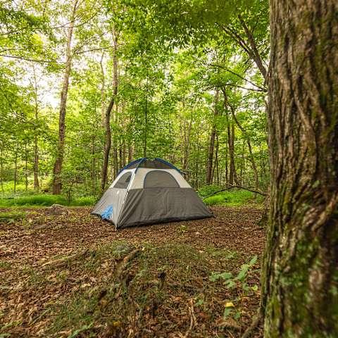 Mountain Creek Camping At Its Best Near Macedonia Brook State Park 84 Hipcamper Reviews And 99 Photos