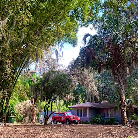Bayou Bliss: Unwinding in Louisiana's Hidden Gems