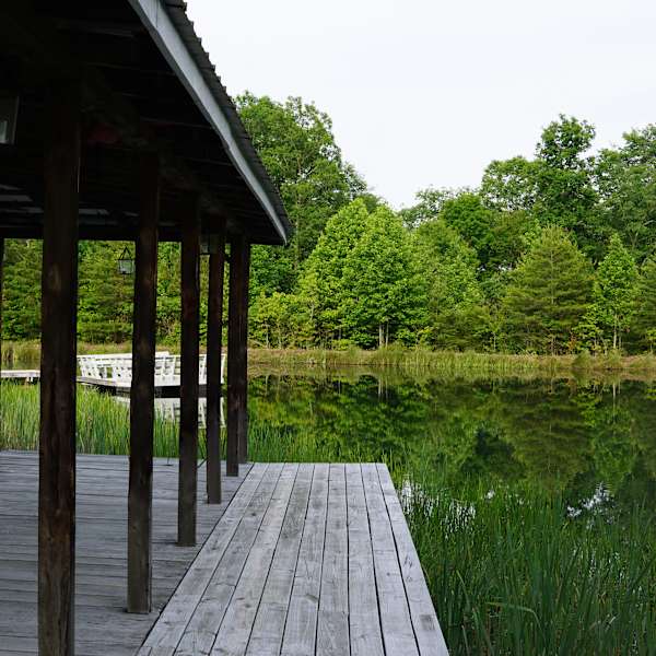 Best Camping In And Near Lake Cumberland