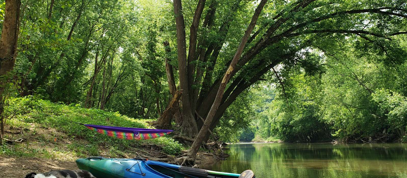 A scenic view of Red River Gorge