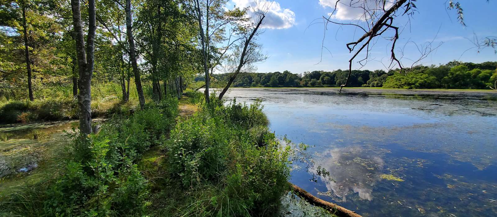 A scenic view of Long Island
