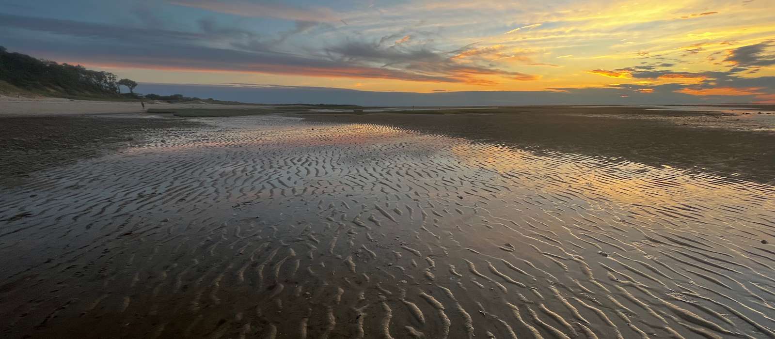 A scenic view of Cape Cod