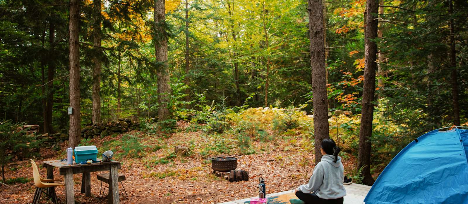 A scenic view of New Discovery State Park