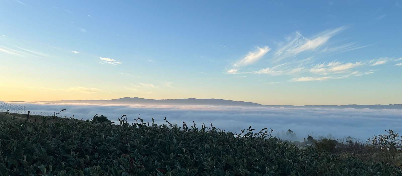 A scenic view of San Jose