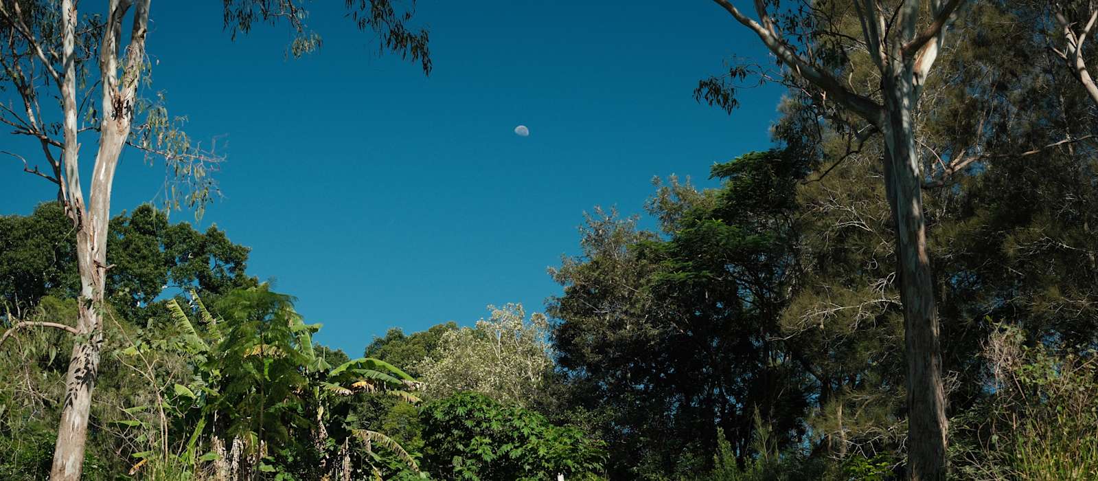 A scenic view of Maleny