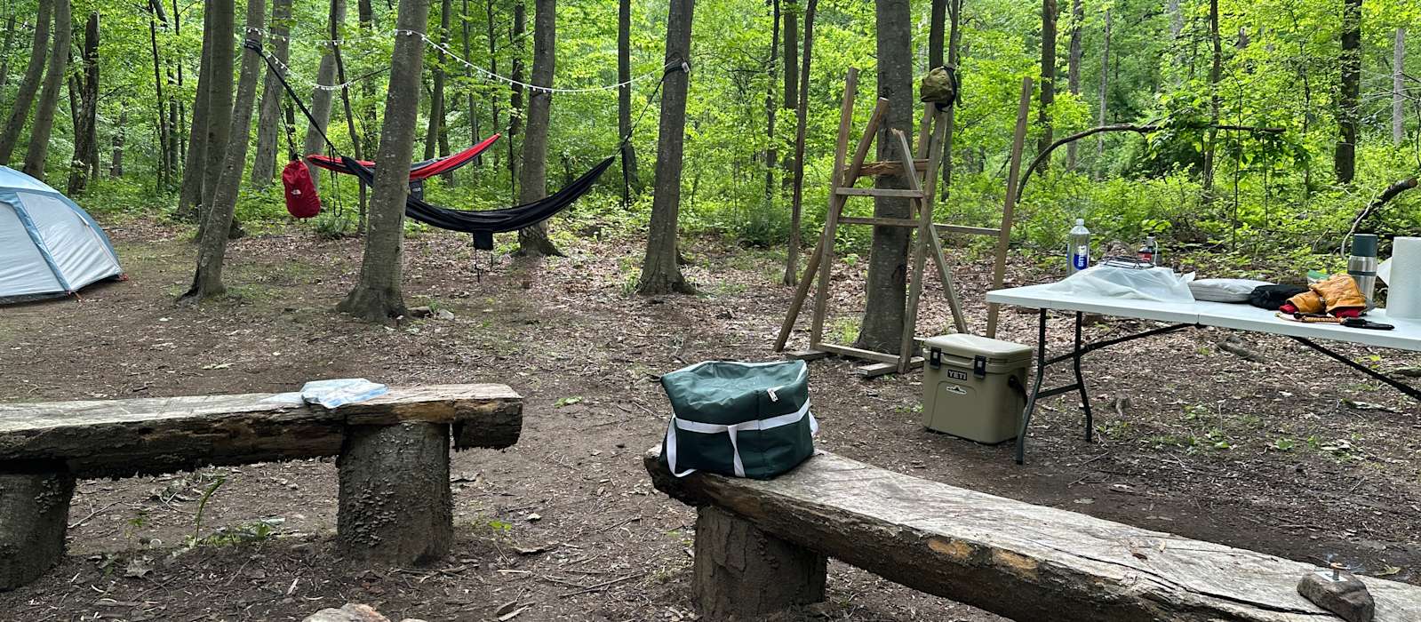 A scenic view of Cape May Point State Park