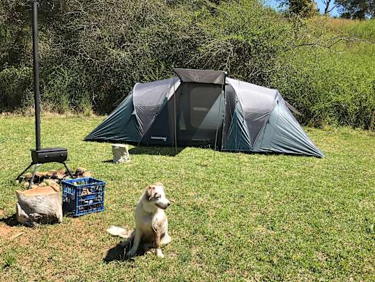 dog tent argos