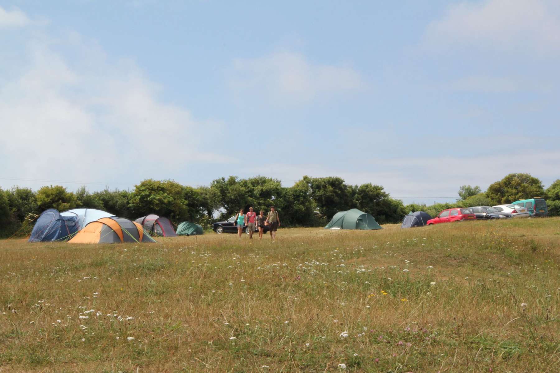 Acton Field - Hipcamp in Dorset, England