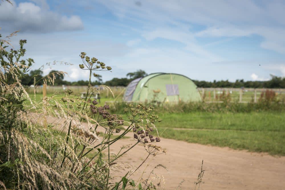 Pitchperfect Camping Hipcamp in Somerset, England