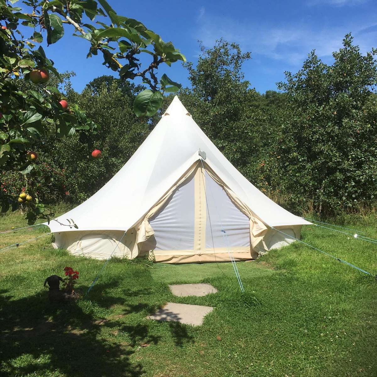 Colleen McCullough - El Desafio | PDF | Escocia | Australia, image size:1200x1200