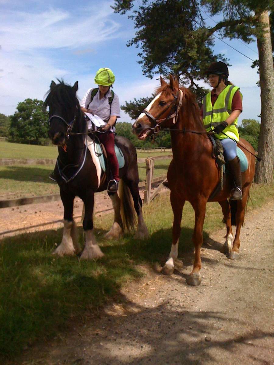 Bardwell Manor Hipcamp in Suffolk, England