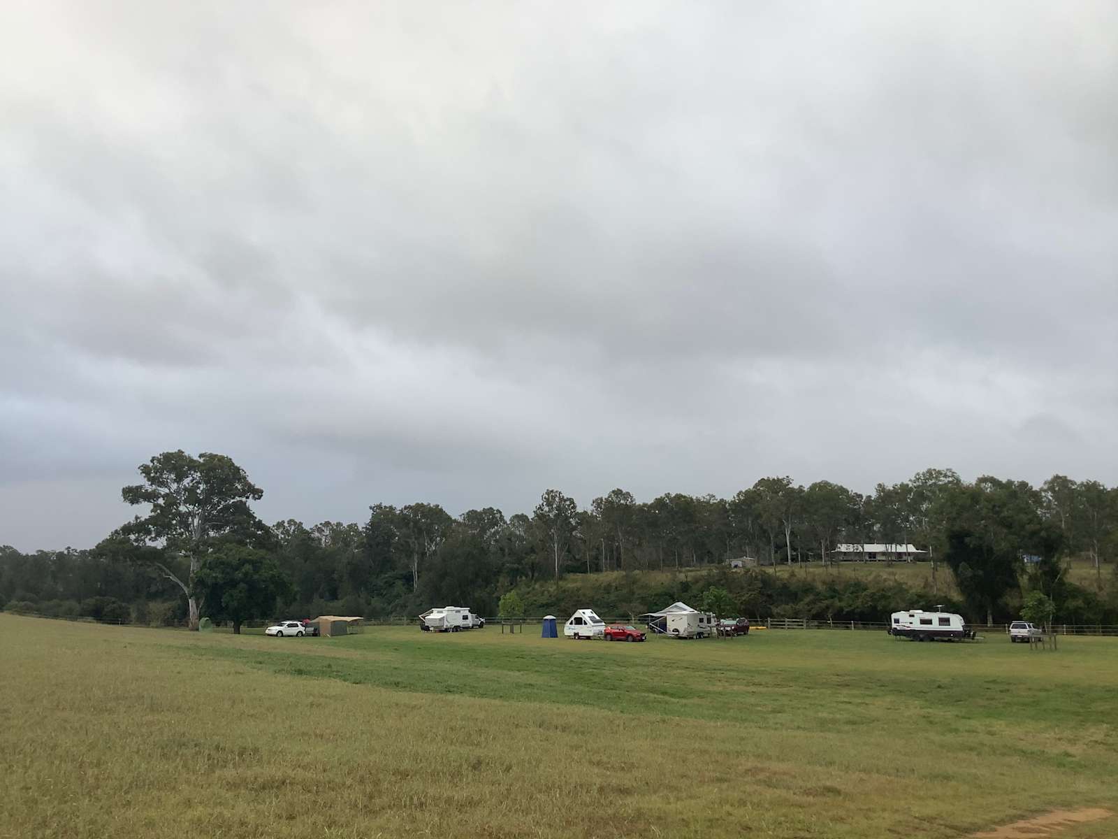 The Big Tree Prime Mary River Camping Qld 26 Hipcamper Reviews And 26 Photos