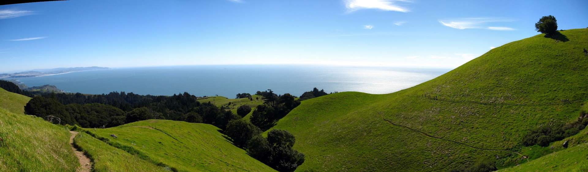 Alice Eastwood Group Campground, Mount Tamalpais, Ca: 4 Hipcamper 