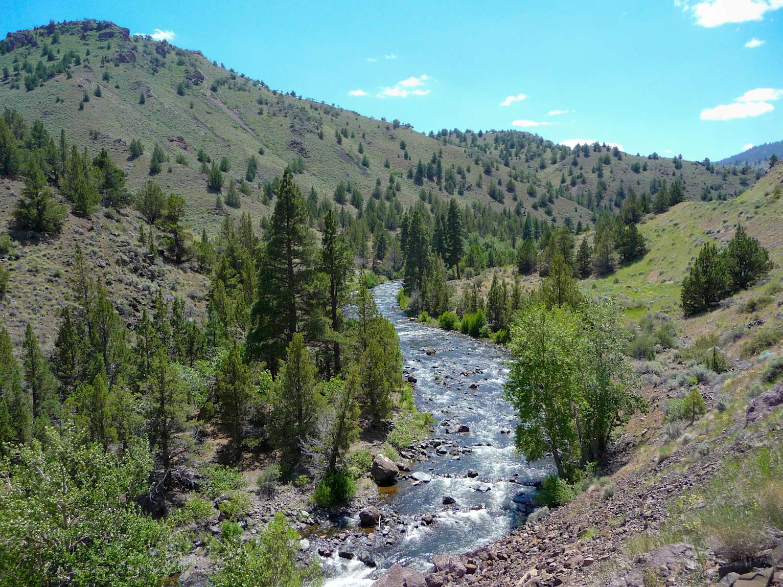 Drews Creek Campground, Fremont Winema, OR: