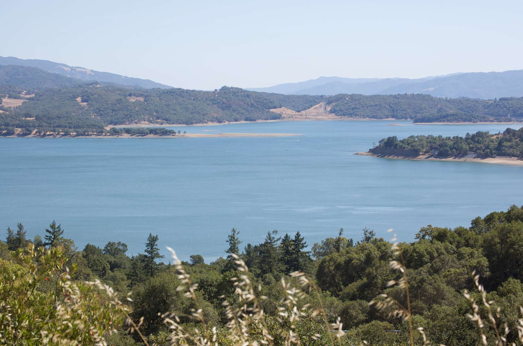 Kyen Campground, Mendocino Lake, CA 1 Hipcamper Review