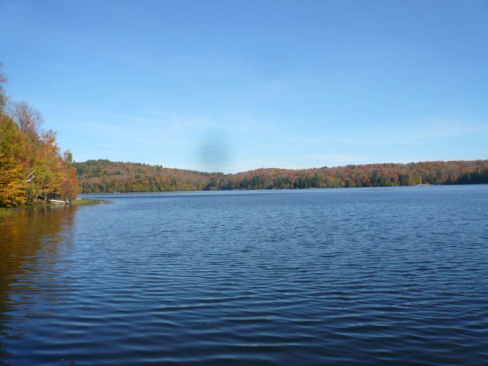 Wildcat Campground, Eastman Lake, CA: