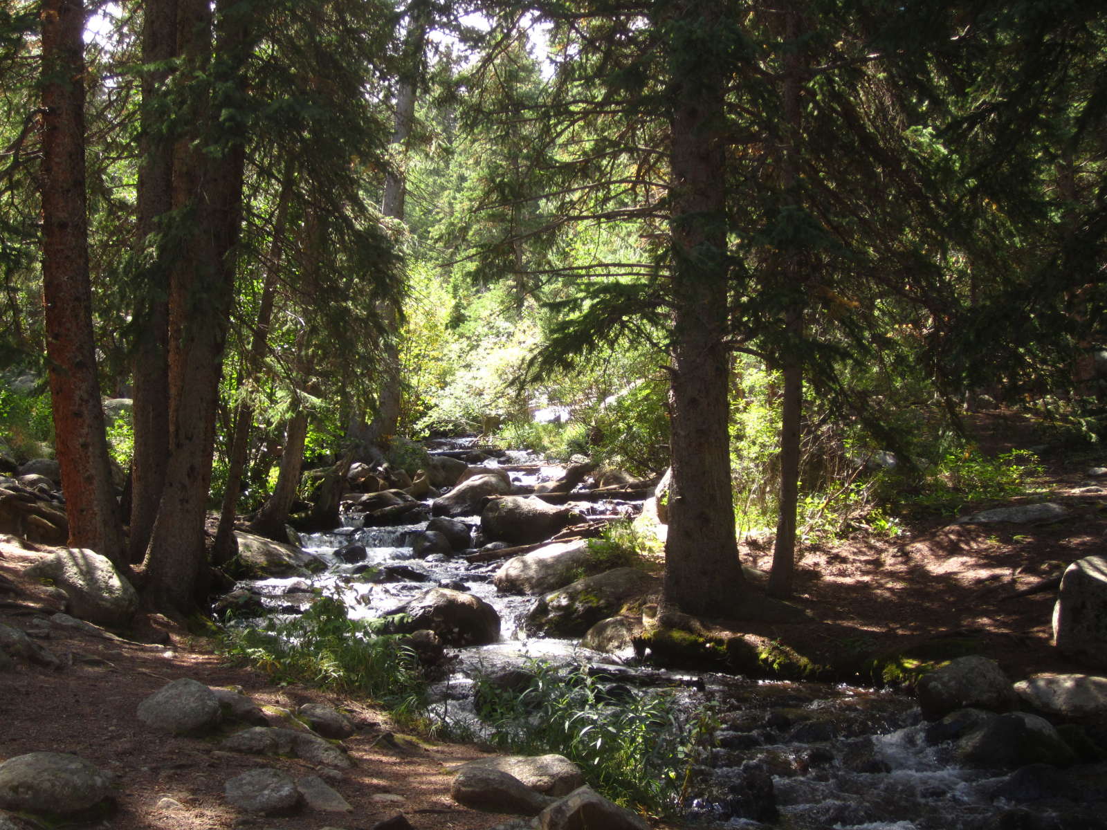 West Chicago Creek Campground, Arapaho, CO: