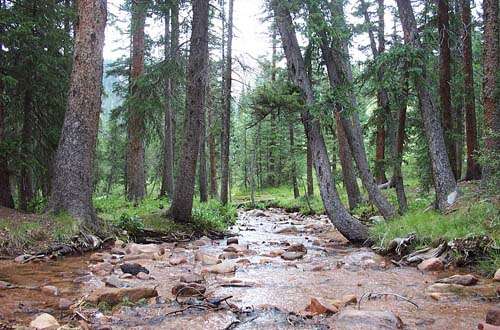 Flat rock outlet campsite