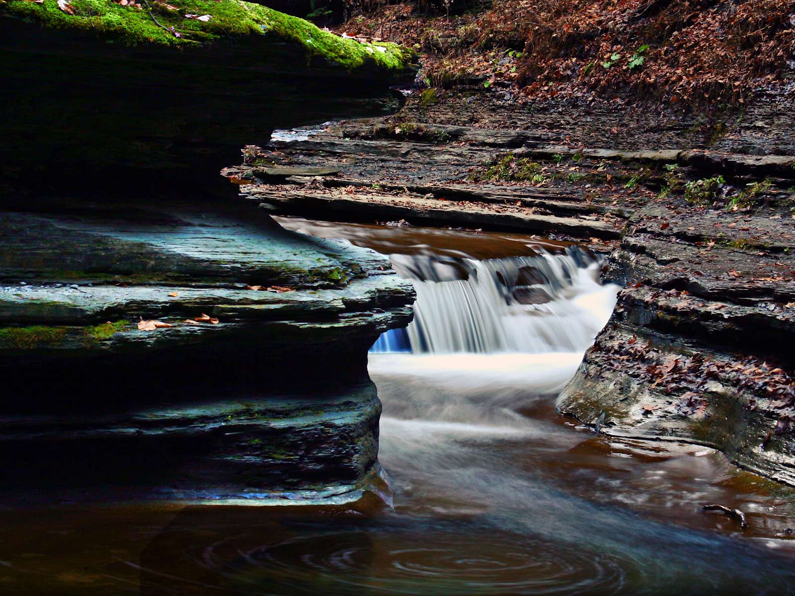 Stony Brook State Park Campground, Stony Brook, NY 2 Hipcamper Reviews