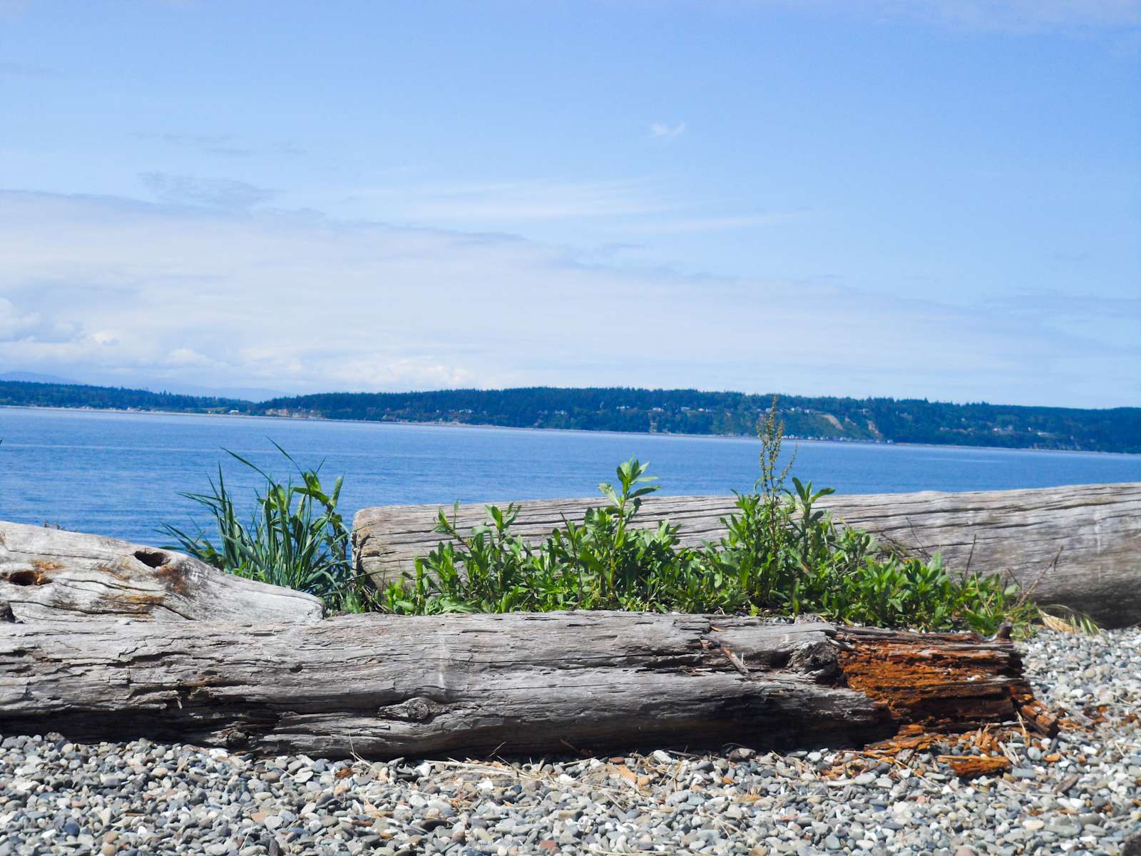 Camano Island Group Campground, Camano Island, WA 1 Photo