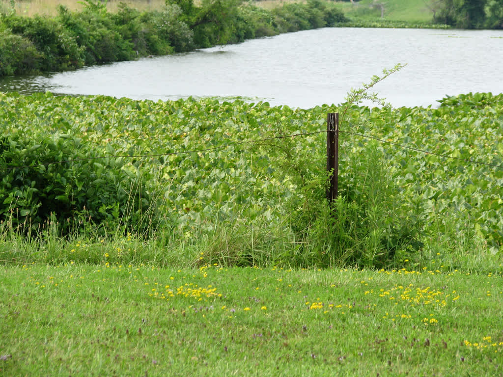 Jamestown Campground, Pymatuning Park, PA 7 Photos