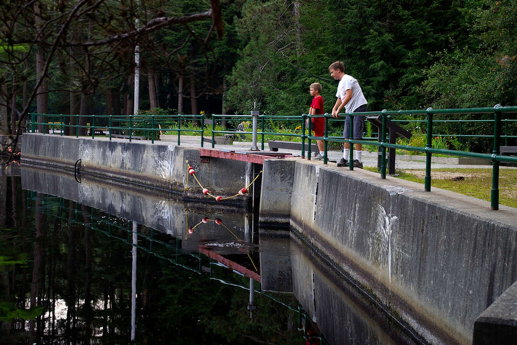 Otter River Campground, Otter River, MA: 3 Hipcamper Reviews And 4 Photos