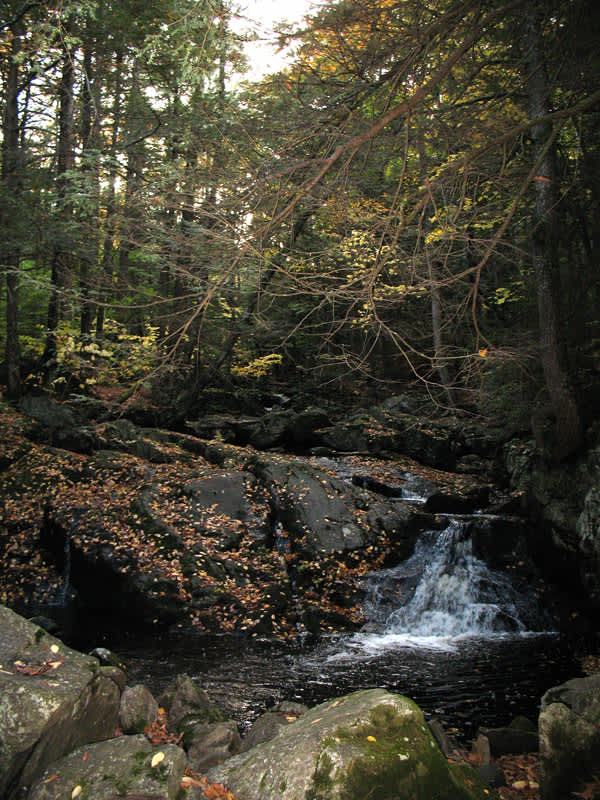 Granville Campground, Granville, MA 2 Hipcamper Reviews And 5 Photos