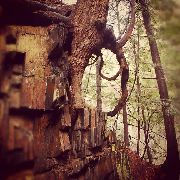 Fort Dummer Campground, Fort Dummer, VT 2 Hipcamper Reviews And 5 Photos