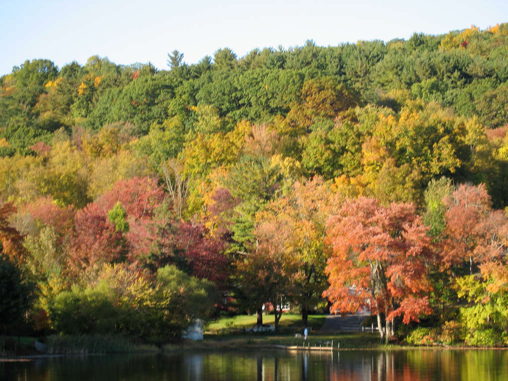 Lake Waramaug Campground, Lake Waramaug, CT 4 Photos