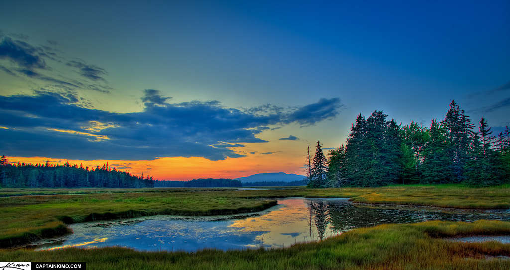 Schoodic Woods Campground, Acadia, ME: 1 Photo