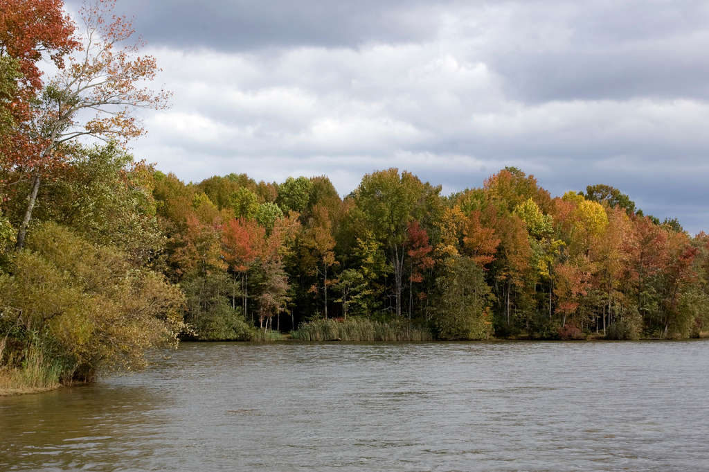 Lums Pond Campground, Lums Pond, DE 1 Hipcamper Review And 4 Photos