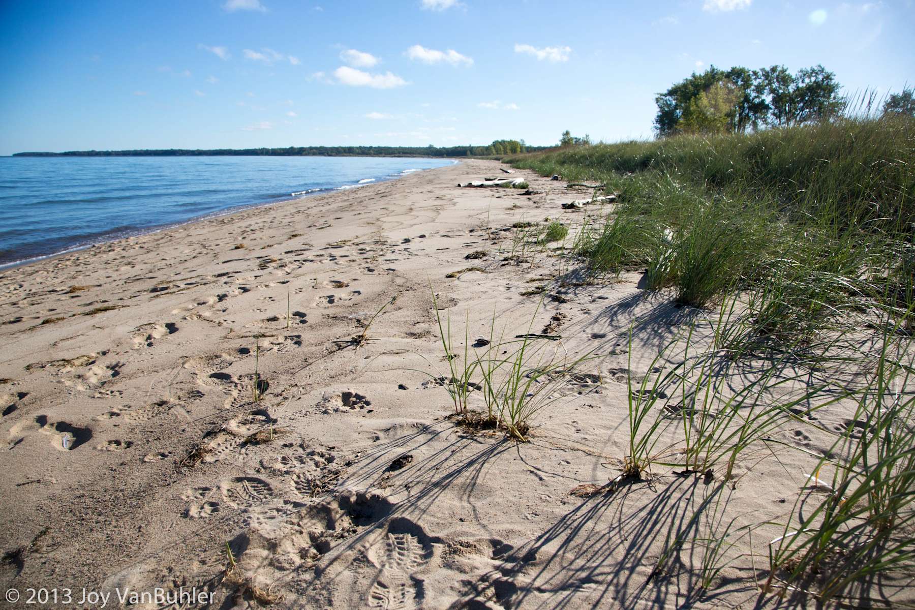 Port Crescent Campground, Port Crescent, MI 4 Photos
