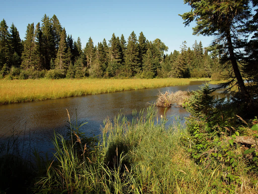 Hatchet Lake Campground, Isle Royale, MI