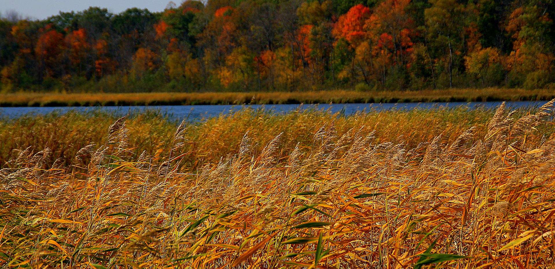 Petaga Campground, Mille Lacs Kathio, MN