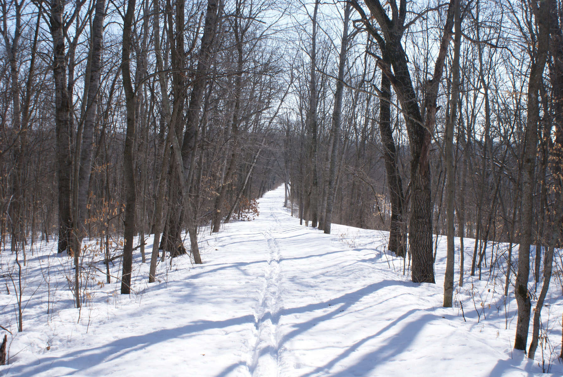 Escape to Wilderness: Minnesota's Wild River State Park - Your Gateway to Untamed Beauty