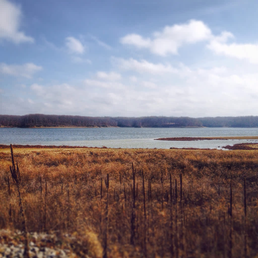 Coon Creek Campground, Lake Shelby, IL 1 Hipcamper Review