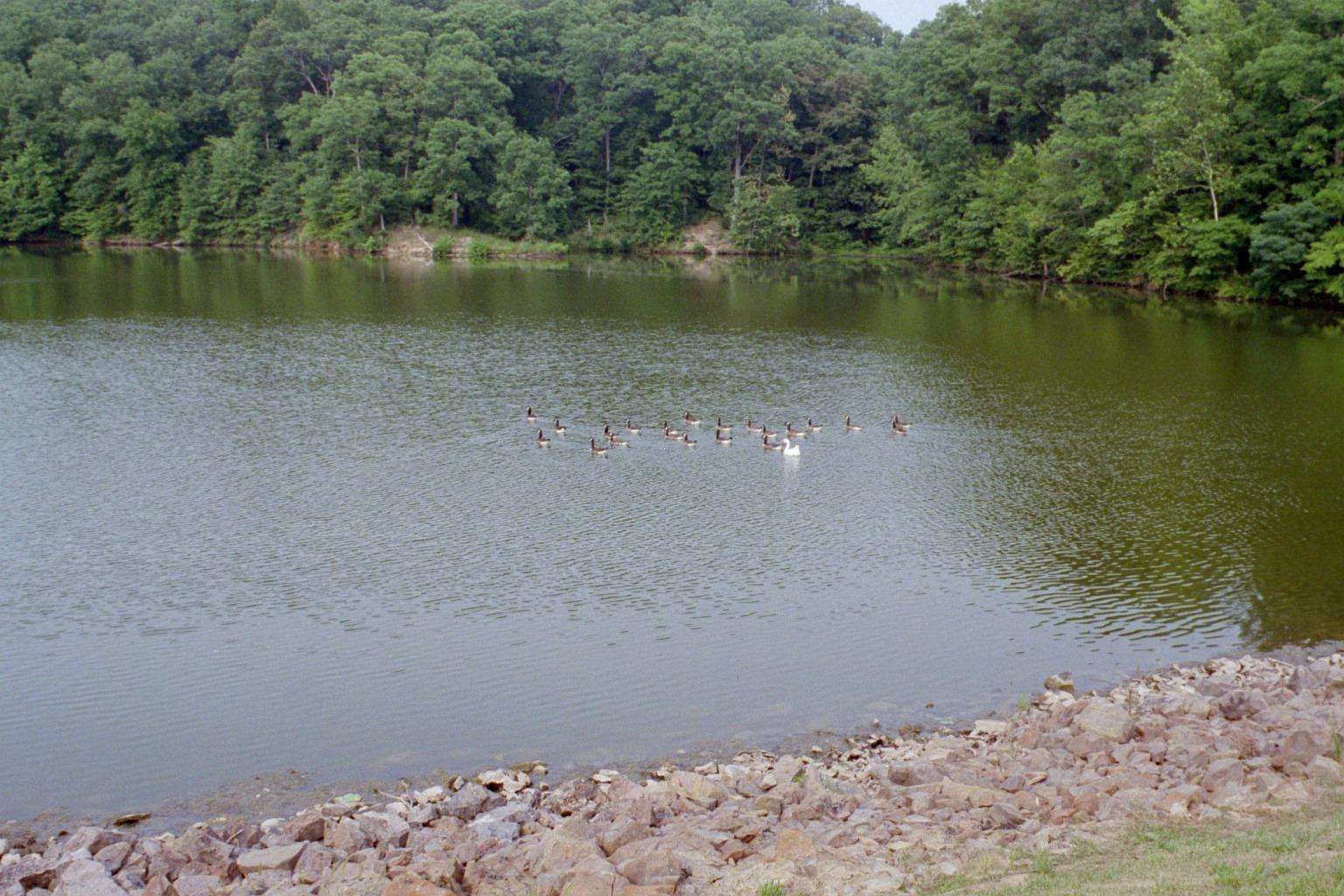 Lake Murphysboro Campground, Lake Murphysboro, IL: 3 Photos