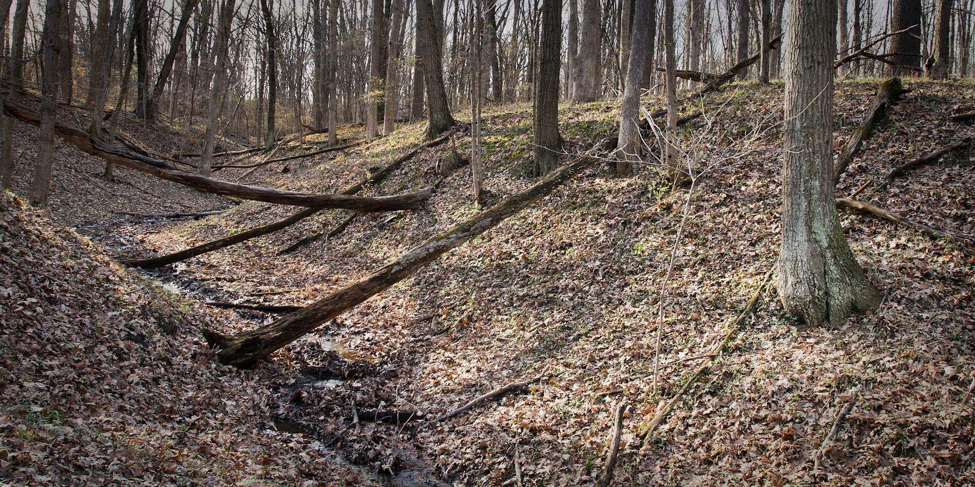 Middle Fork Campground, Middle Fork, IL 4 Photos